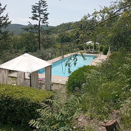 Casa Degli Ulivi - Cottage With Swimming Pool Castellina in Chianti Exteriör bild