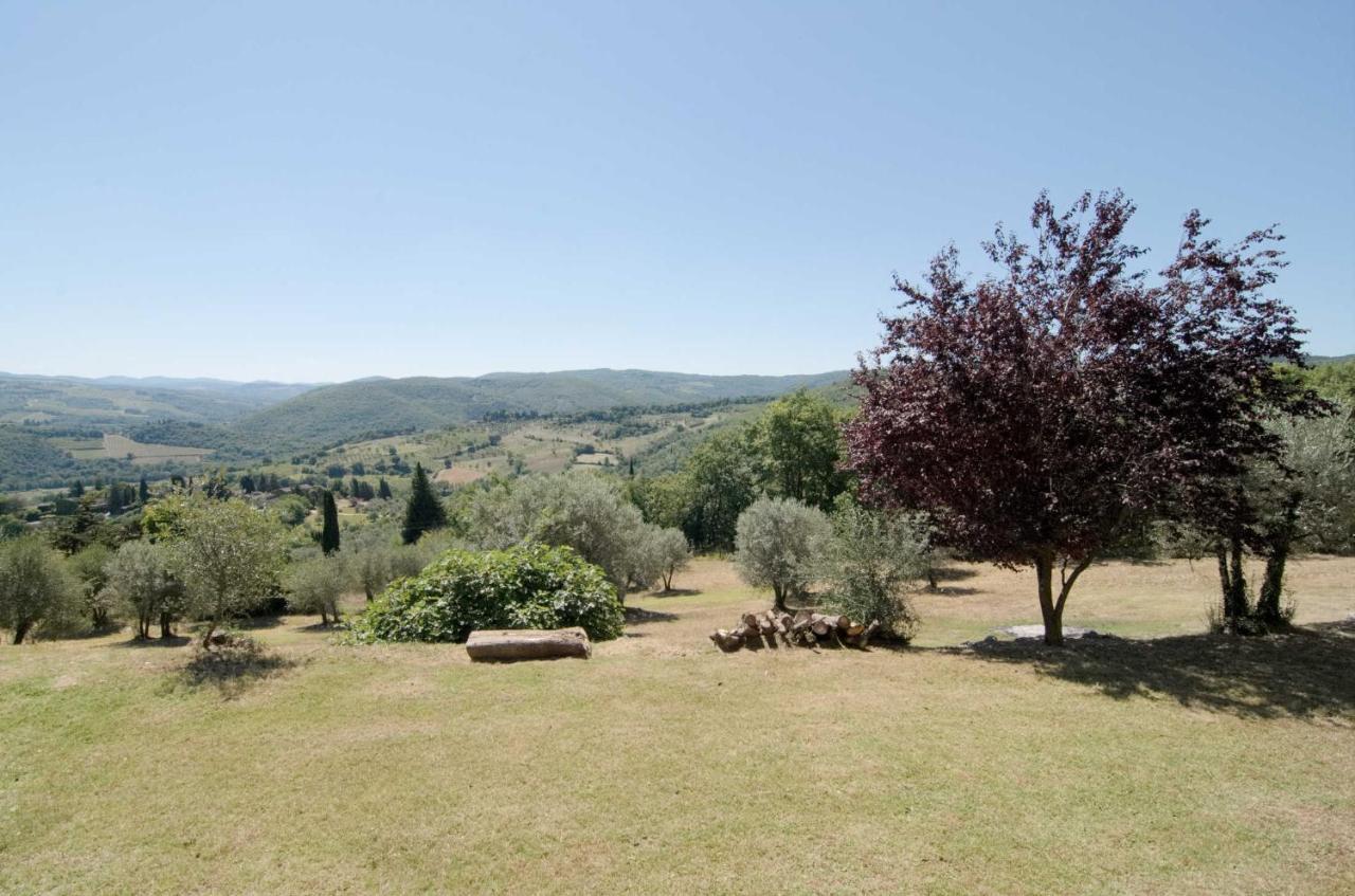 Casa Degli Ulivi - Cottage With Swimming Pool Castellina in Chianti Exteriör bild