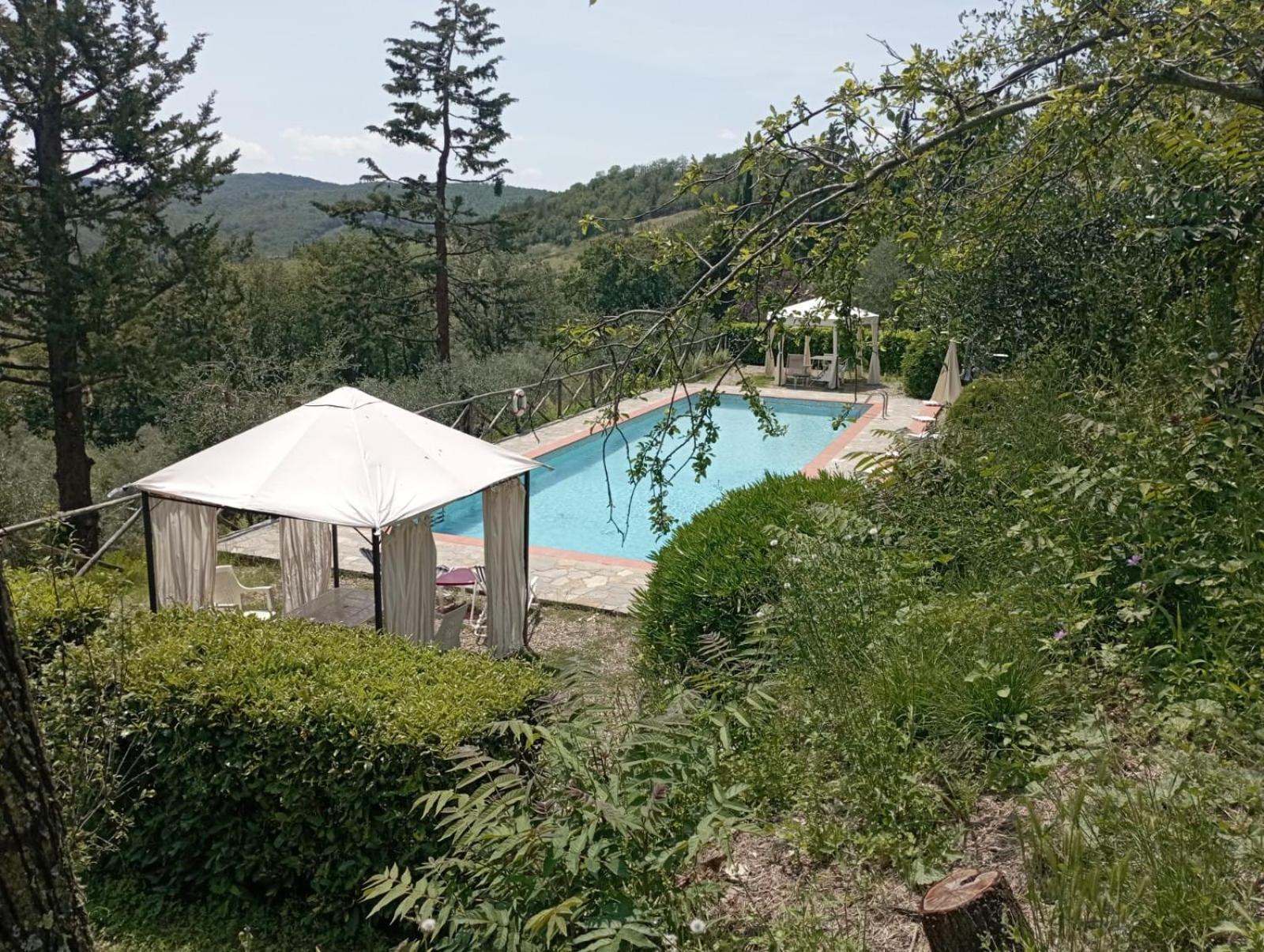 Casa Degli Ulivi - Cottage With Swimming Pool Castellina in Chianti Exteriör bild