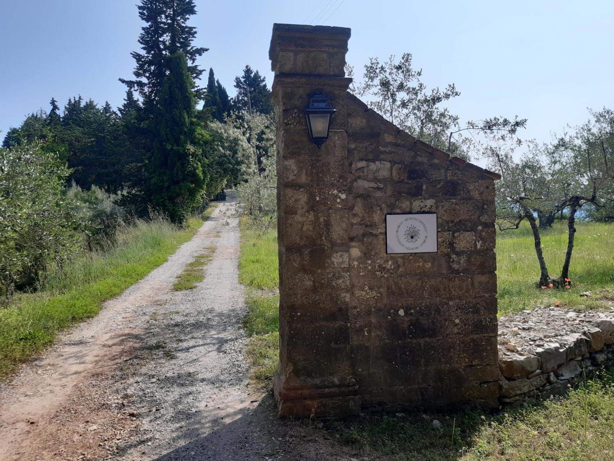 Casa Degli Ulivi - Cottage With Swimming Pool Castellina in Chianti Exteriör bild