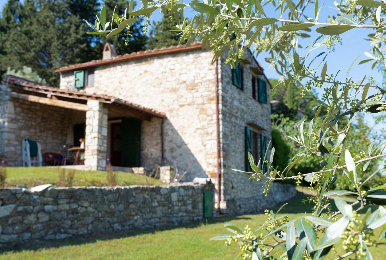 Casa Degli Ulivi - Cottage With Swimming Pool Castellina in Chianti Exteriör bild